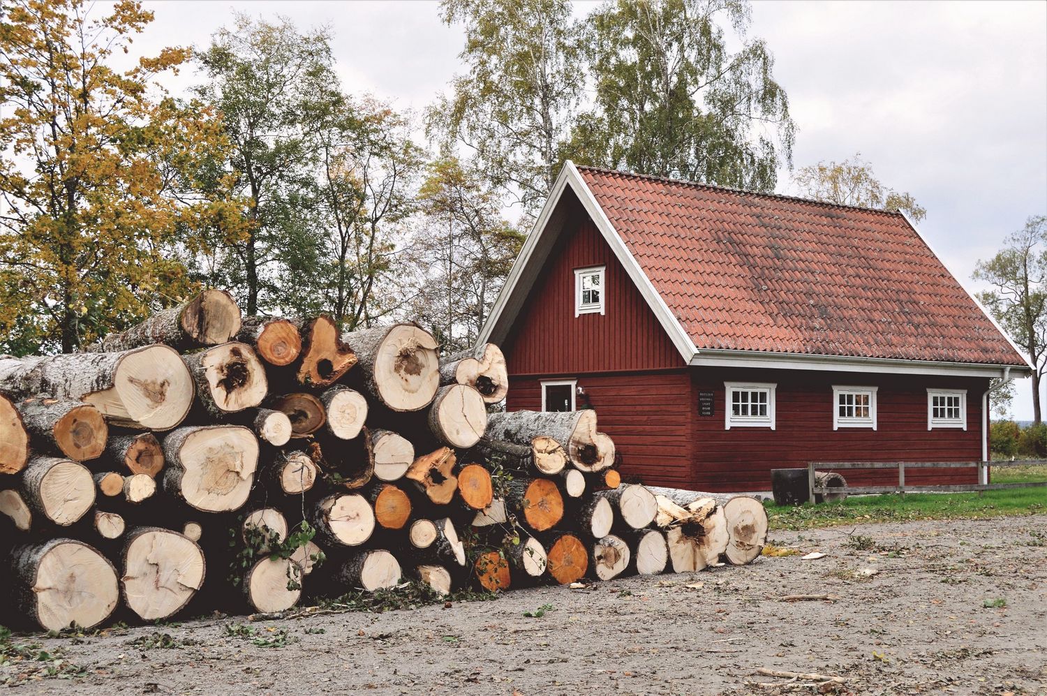 Dlaczego w USA budują domy z drewna