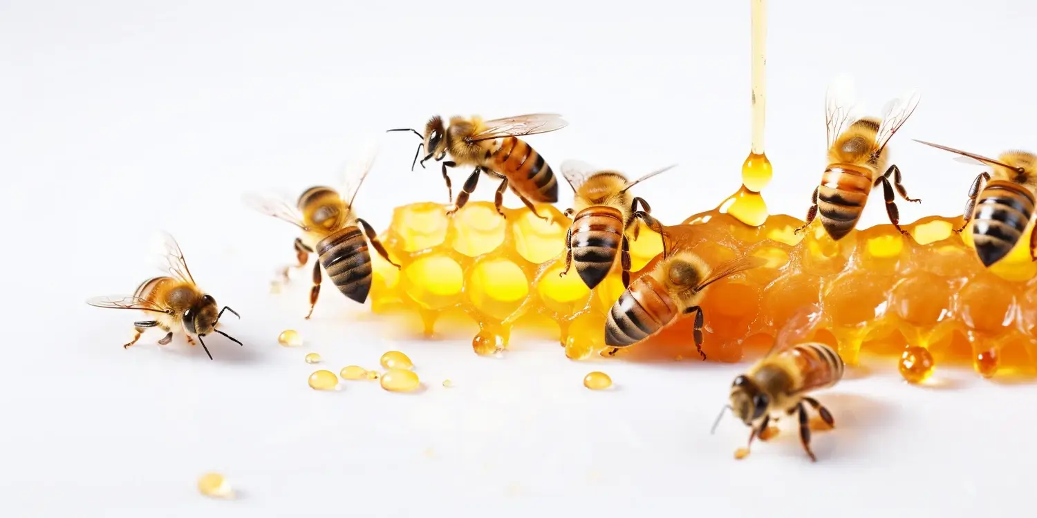 Co ile wymieniać matki pszczele?